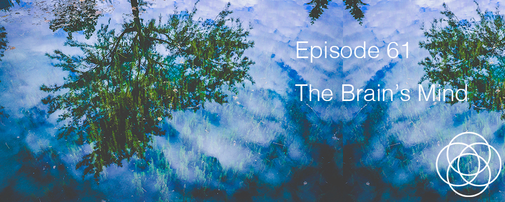 Episode 61 The Dream Show Jane Teresa Anderson