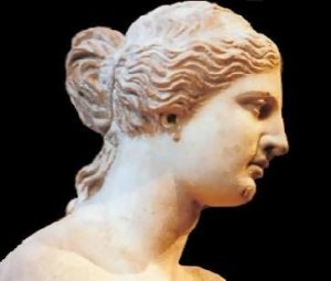 He dreamed of a goddess: elegant, poised, glowing, still.