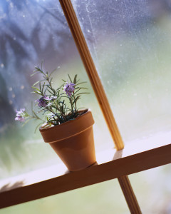 Barbara freed herself to act according to her values, and that changed everything. She is now painting "heaps".