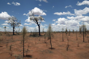 A dream desert might reflect a situation where you feel isolated, or deserted, or emotionally dry.