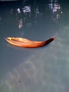 Backwards or forwards