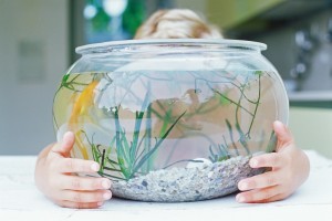 Dream interpretation Recurring dreams