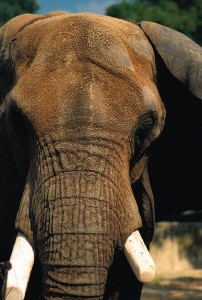 Reading your unconscious mind