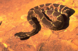 I feel surprised that something I expected to be painful was not as bad as I had anticipated, but only time will tell the full outcome.