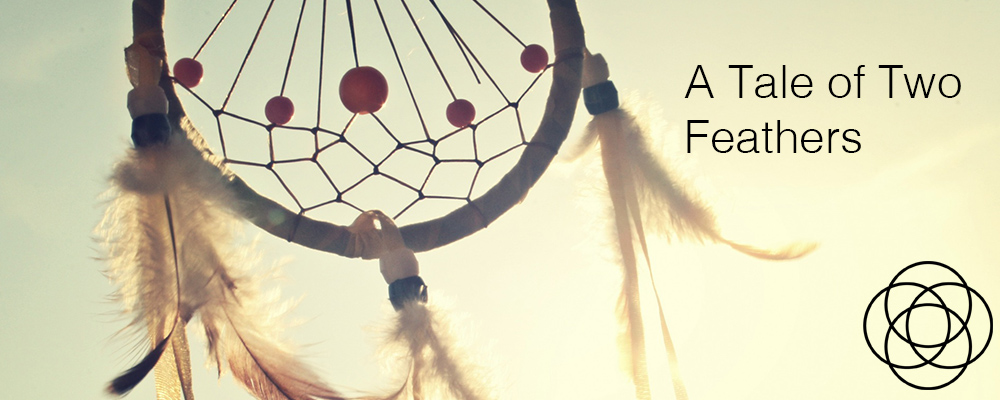 Dream consultation by email and A Tale of Two Feathers Jane Teresa Anderson