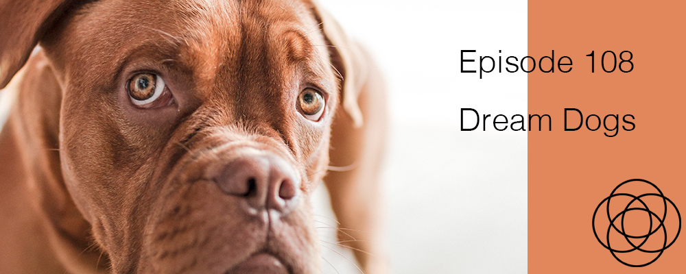 Episode 108 The Dream Show Jane Teresa Anderson