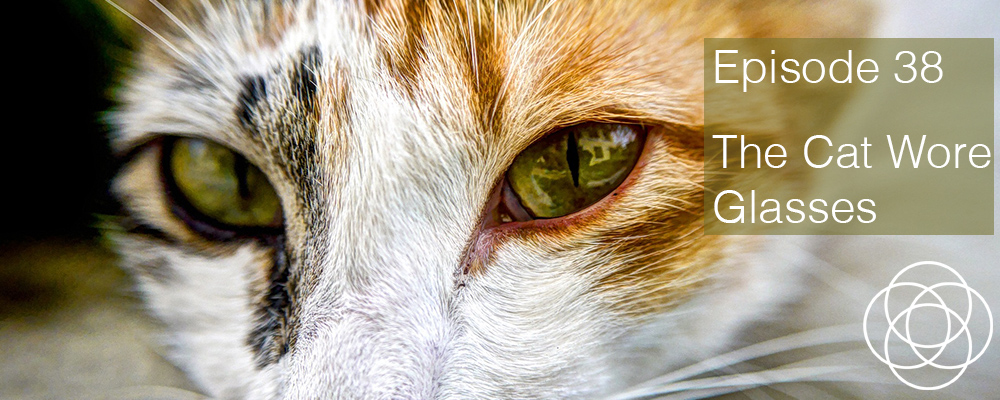 Episode 38 The Dream Show Jane Teresa Anderson