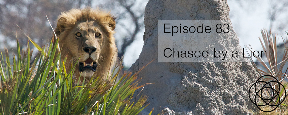 Episode 83 The Dream Show Jane Teresa Anderson