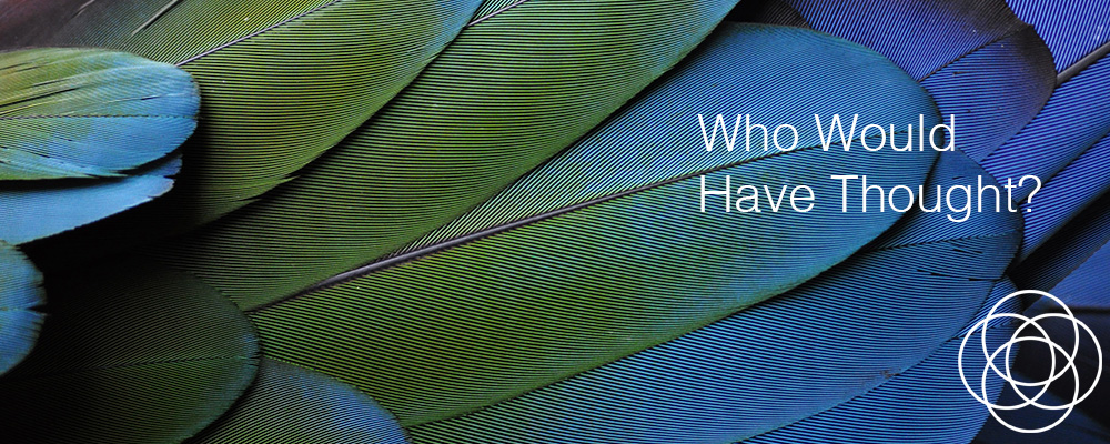 Who Would have Thought Jane Teresa Anderson Dreams