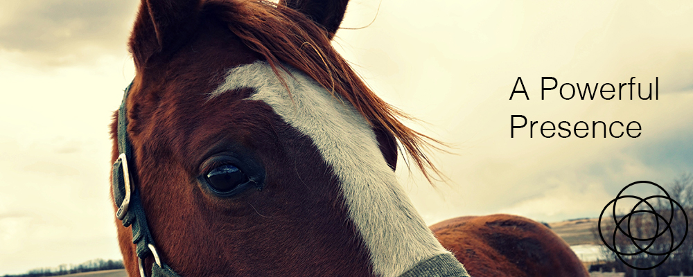 A Powerful Presence Jane Teresa Anderson Dreams