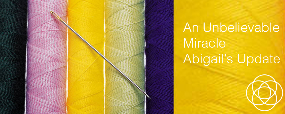 An Unbelievable Miracle Jane Teresa Anderson Dreams