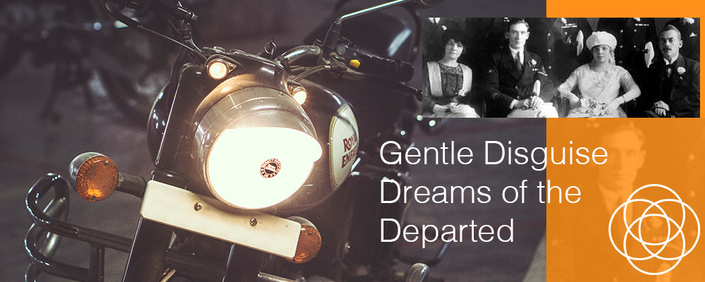 Gentle Disguise Dreams of the Departed Jane Teresa Anderson