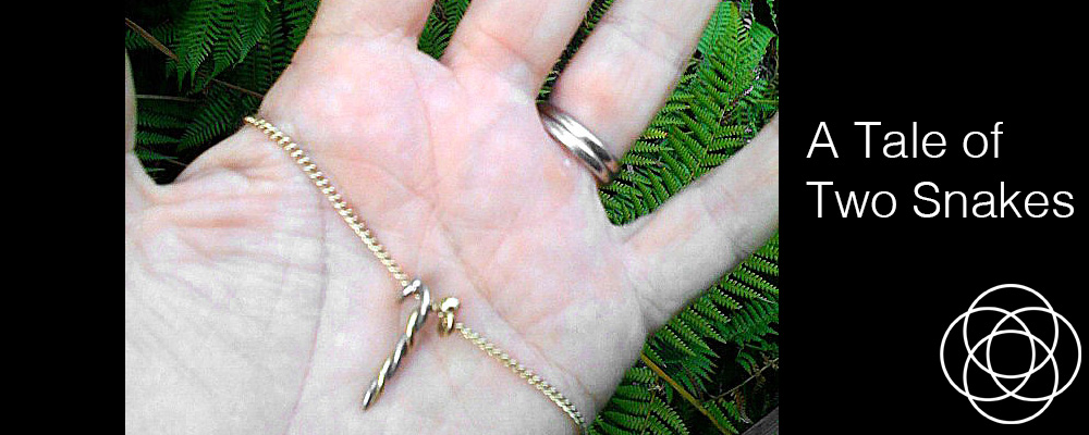 A Tale of Two Snakes Jane Teresa Anderson Dreams