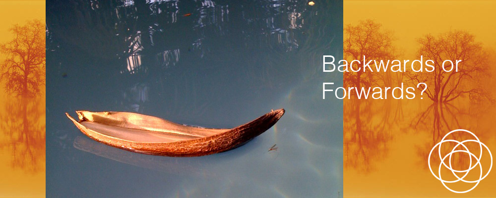 Backwards or Forwards Jane Teresa Anderson Dreams