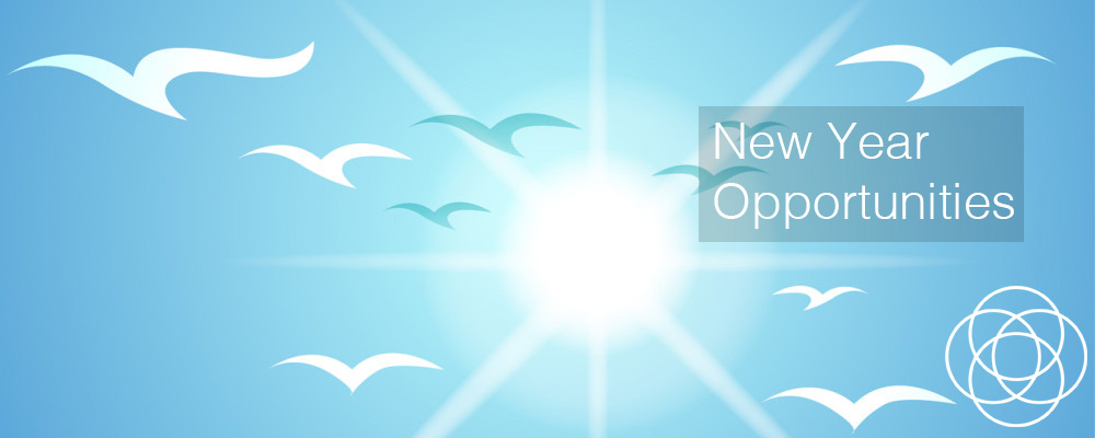 New Year Opportunities Jane Teresa Anderson Dreams