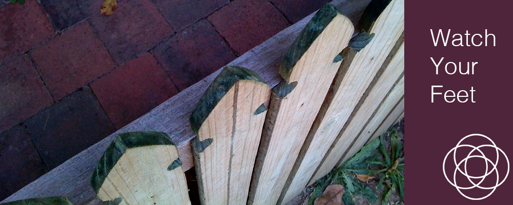 Watch Your Feet Jane Teresa Anderson Dreams