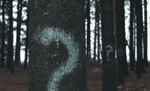 Most dreams introduce a problem or question to be resolved.