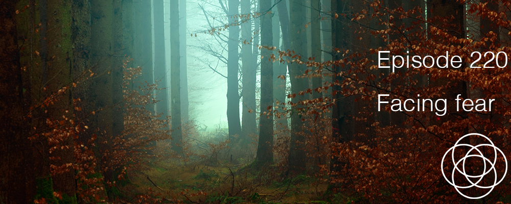 Episode 220 The Dream Show Jane Teresa Anderson