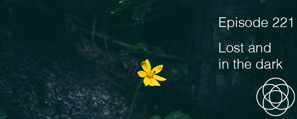 Episode 221 The Dream Show Jane Teresa Anderson