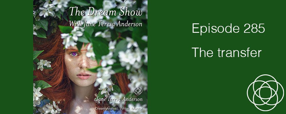 Episode 285 The Dream Show Jane Teresa Anderson