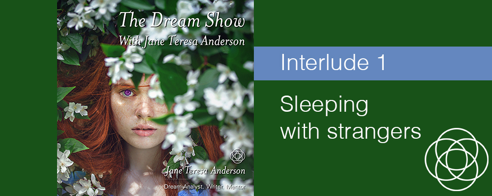 INTERLUDE Sleeping with strangers The Dream Show Jane Teresa Anderson