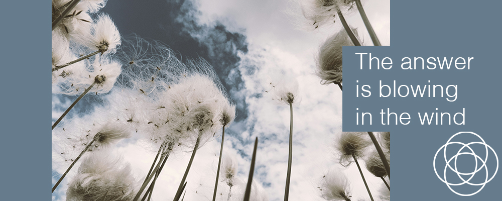 The answer is blowing in the wind JT.com Jane Teresa Anderson